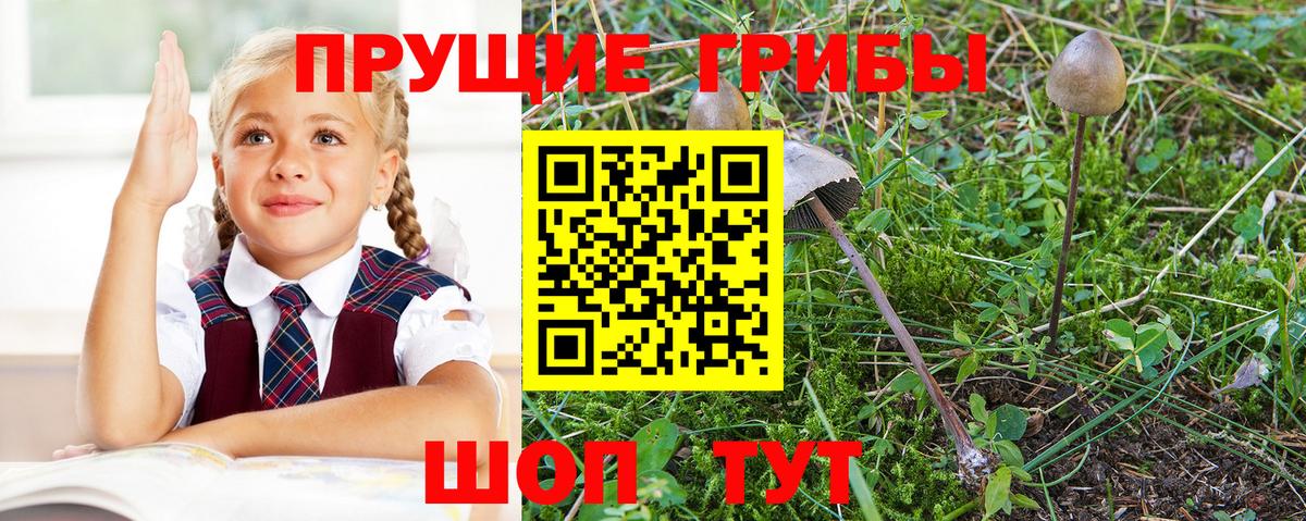 Галлюциногенные грибы MAGIC MUSHROOMS  Вход с VPN  Ялуторовск 